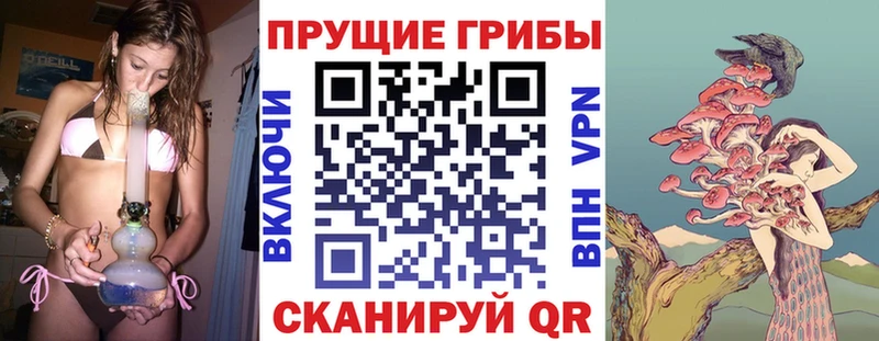 Галлюциногенные грибы мицелий  KRAKEN ссылки  Зеленодольск 